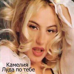 Picture of Камелия