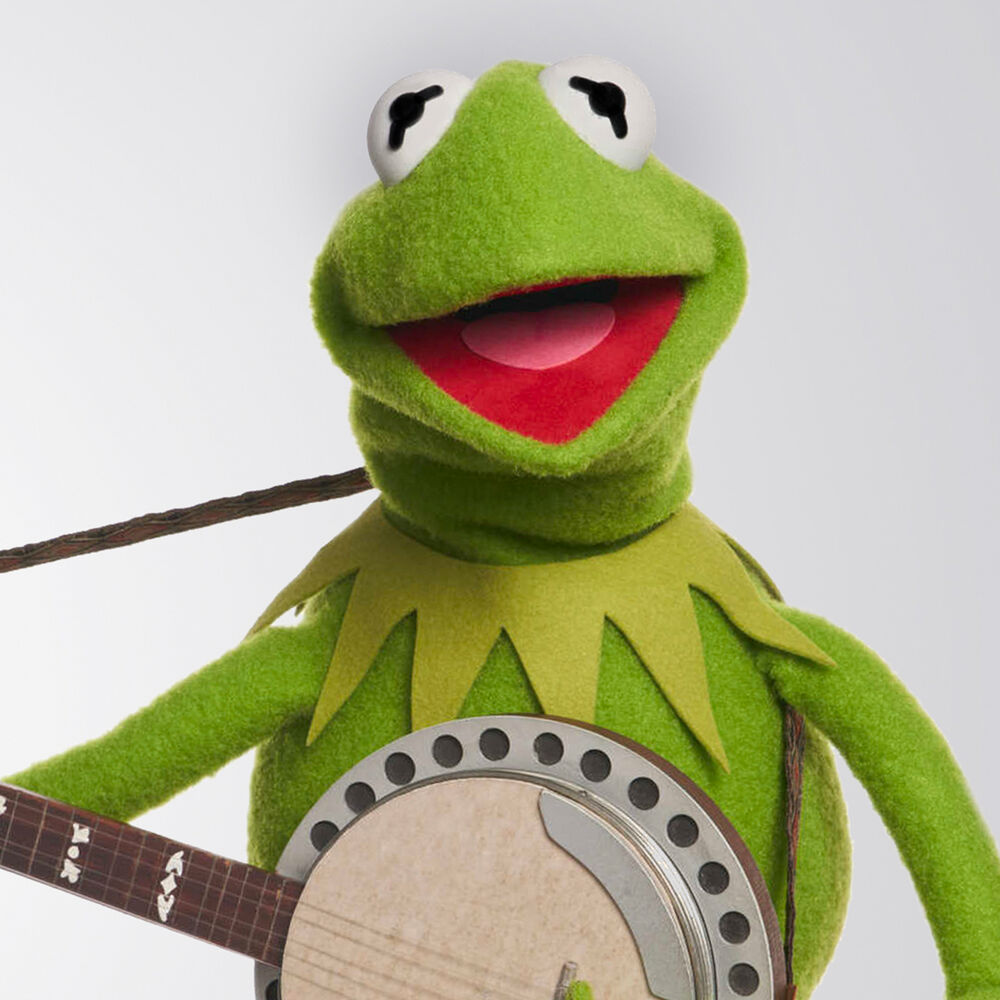 Picture of Kermit