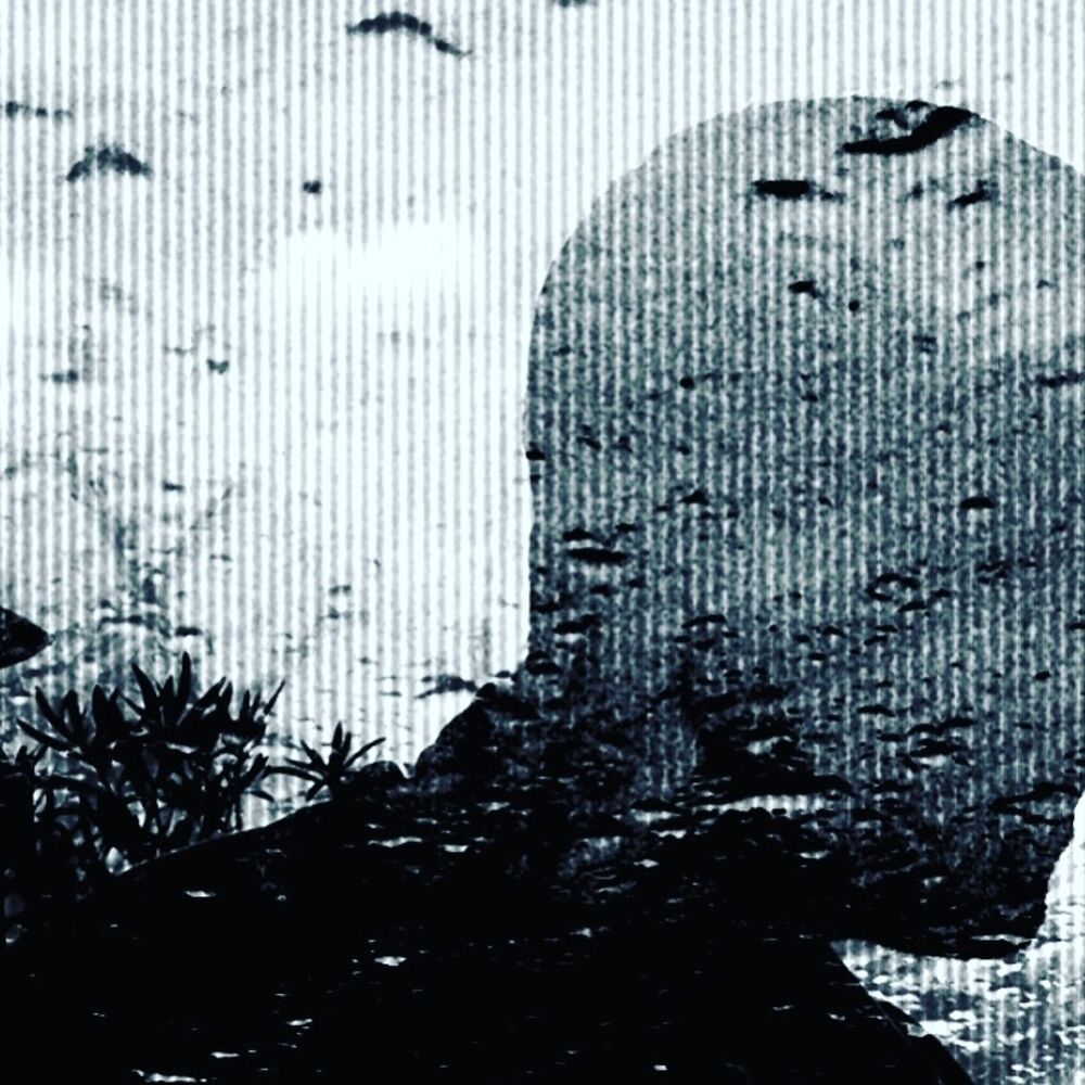 Picture of James Welsh