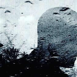 Picture of James Welsh