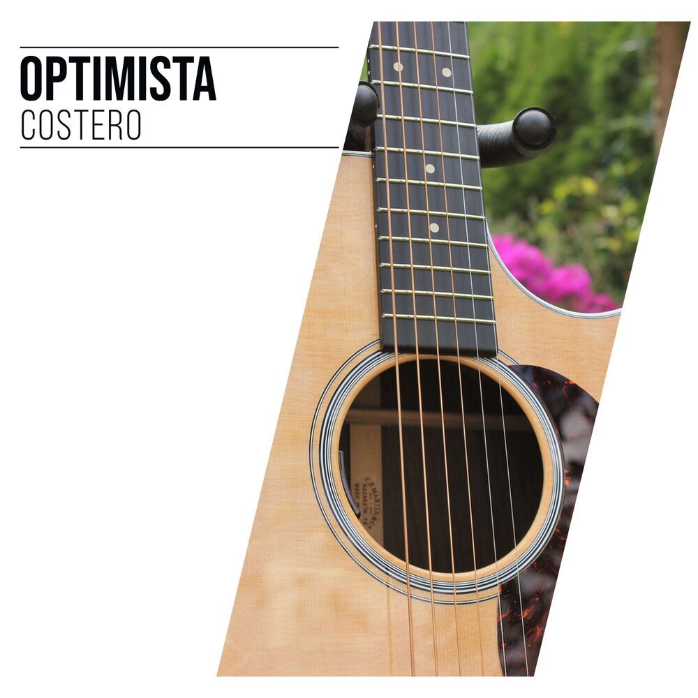 Picture of Guitarra Acústica y Guitarra Española