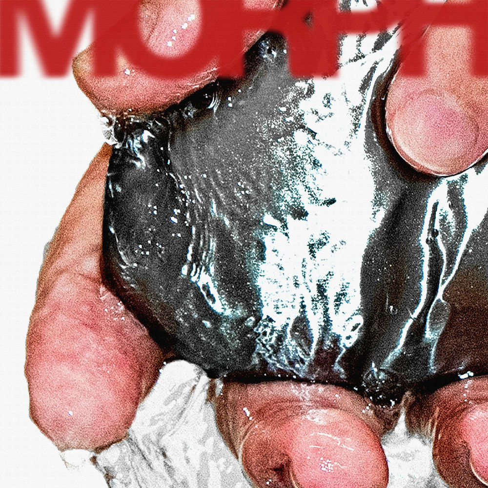 Photo de l'artiste Stainus