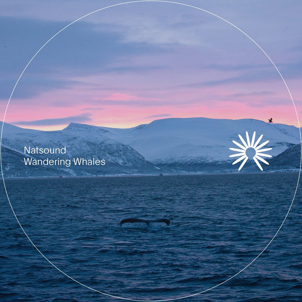 Picture of Natsound
