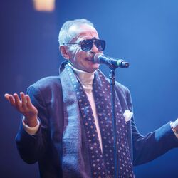 Picture of Pino D'Angiò