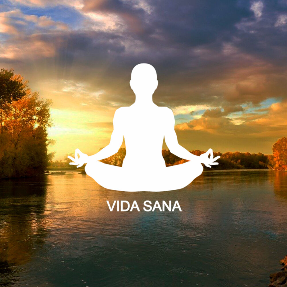 Picture of Vida Sana