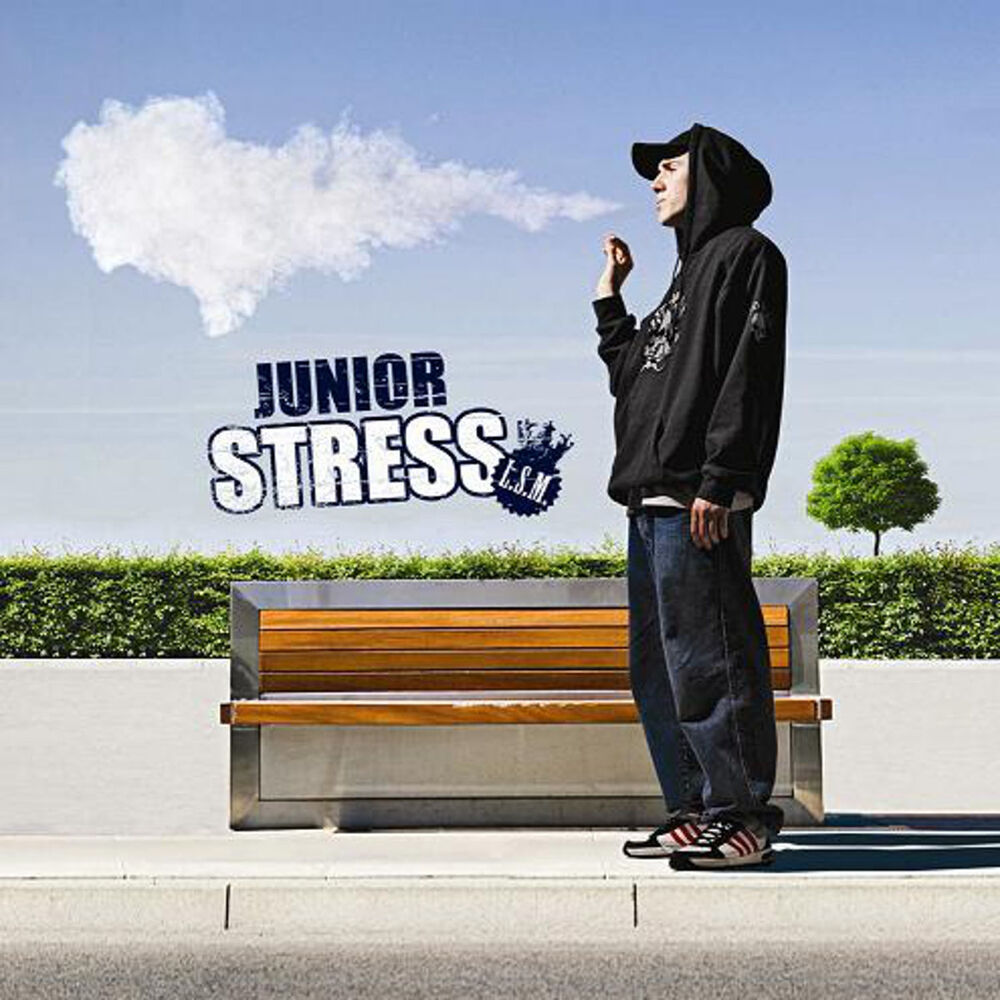 Picture of Junior Stress