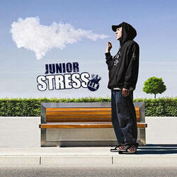 Picture of Junior Stress