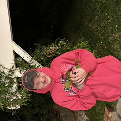 Picture of Dear Me