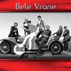Picture of Bele vrane