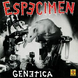 Picture of Espécimen