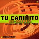 Luisito Ayala Y La Puerto Rican Power