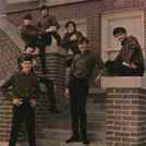 The Gentrys