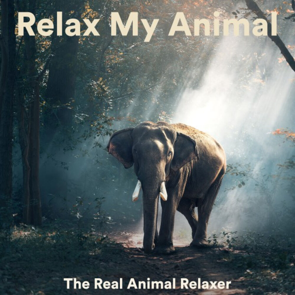 Picture of The Real Animal relaxer