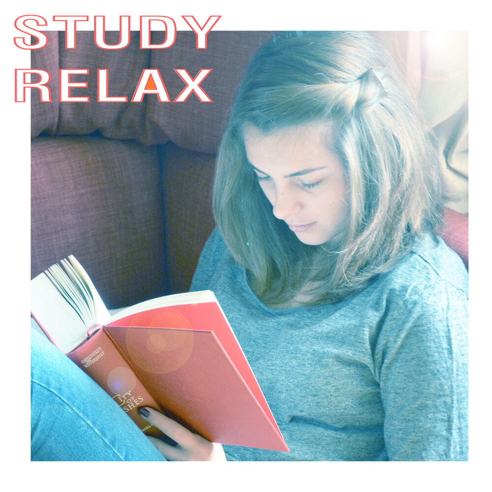 Picture of Study Relax