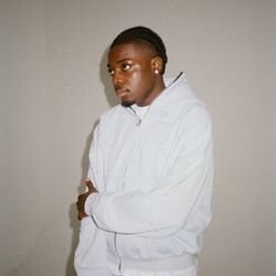 Picture of Yapi