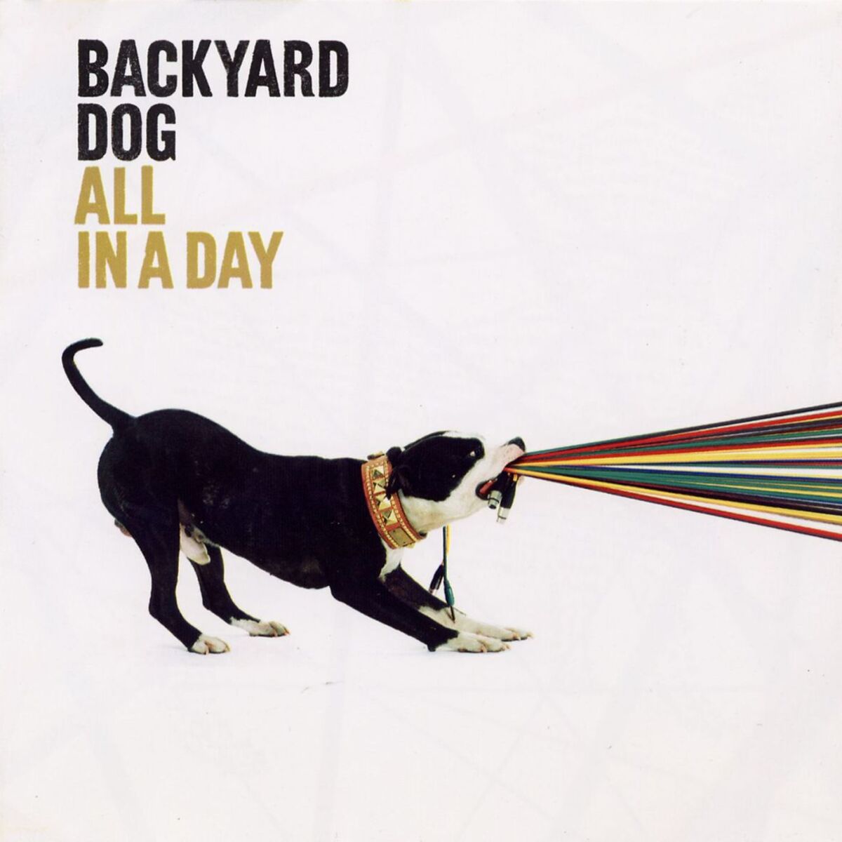 Artist picture of Backyard Dog