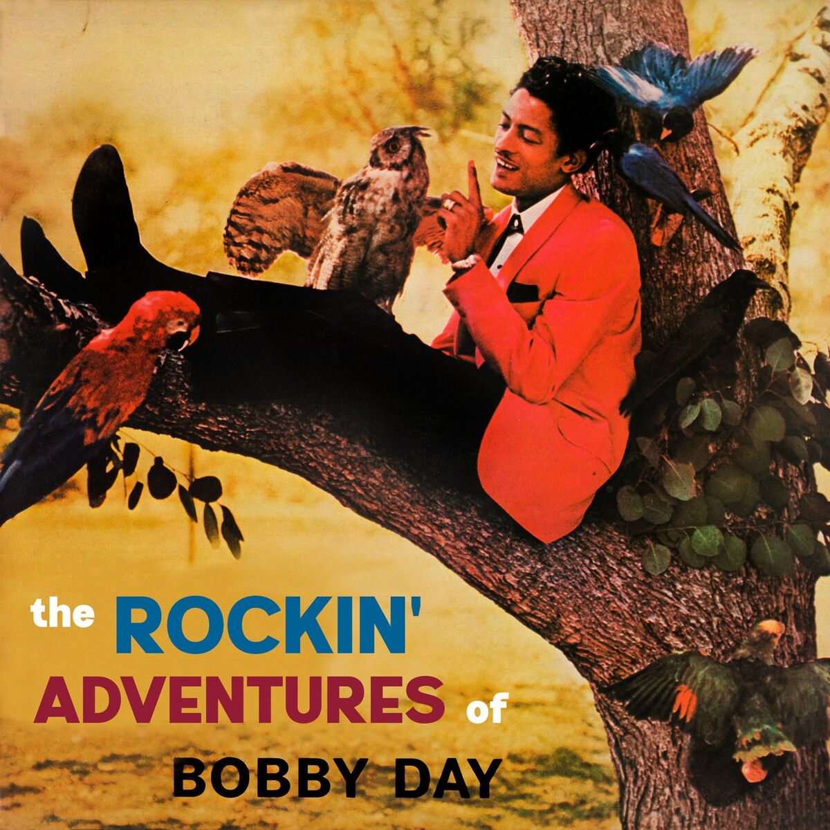 Bobby Day
