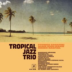 Picture of Tropical Jazz Trio