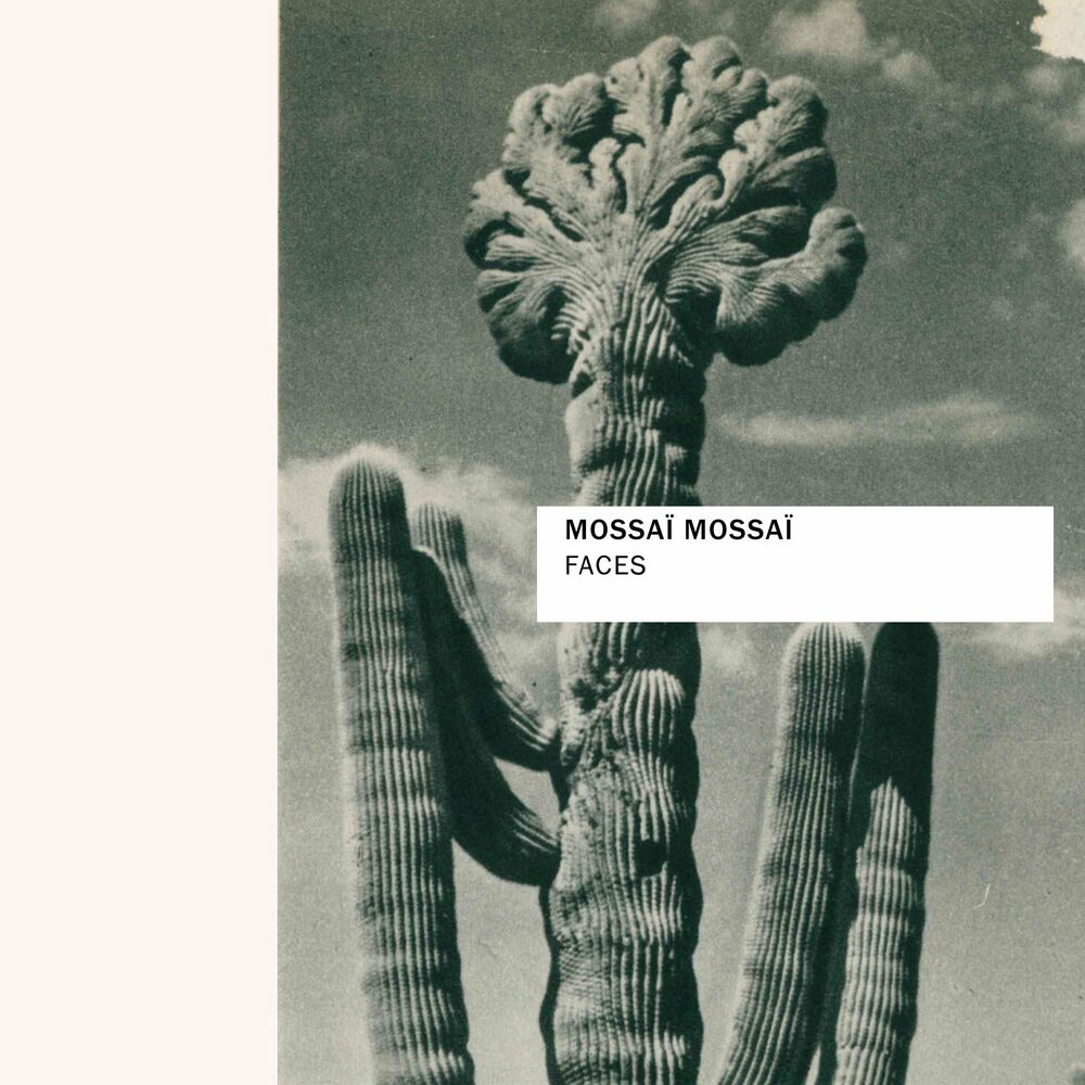 Picture of Mossaï Mossaï