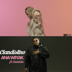 Picture of Clandistino