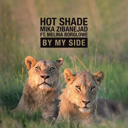 Hot Shade