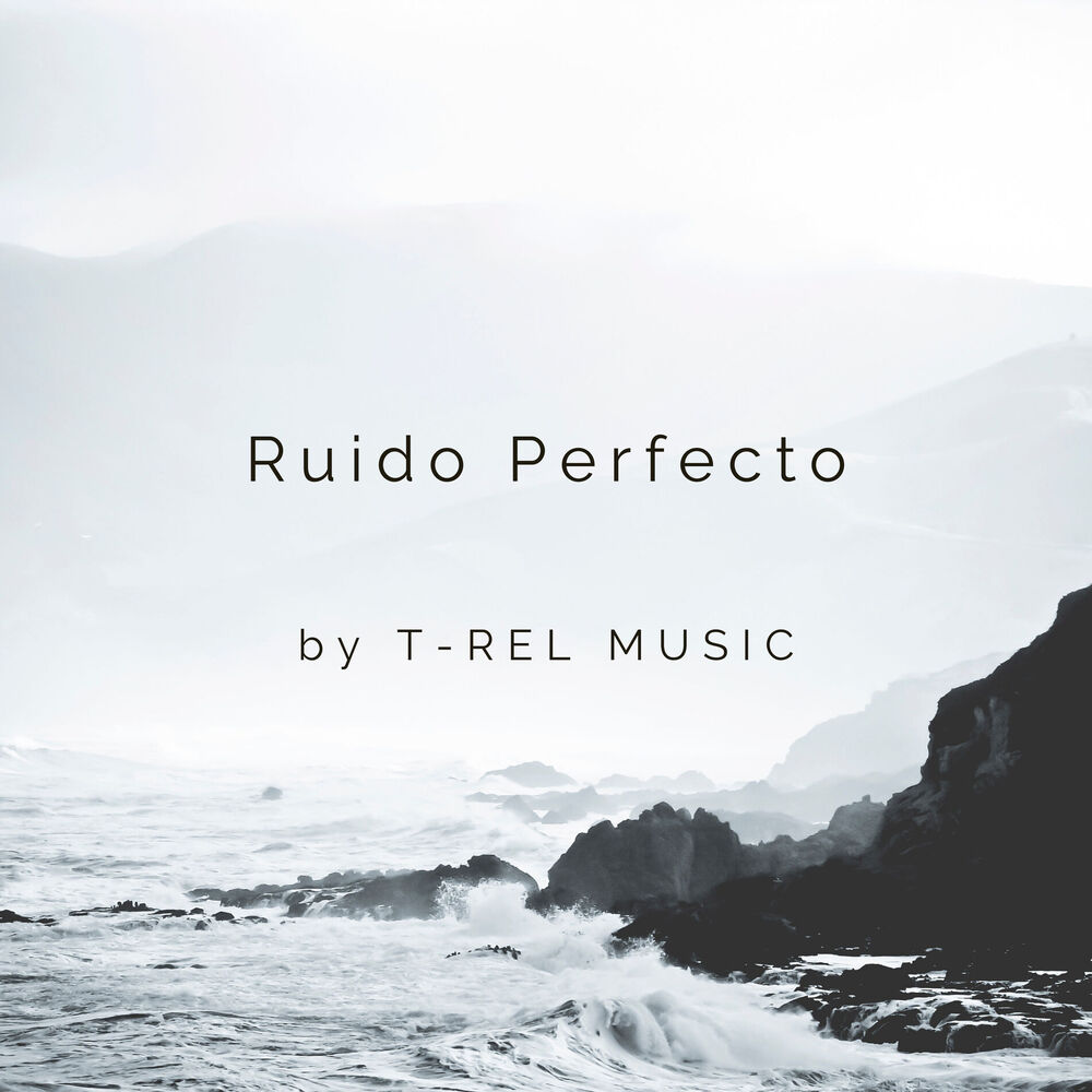 Picture of Ruido Perfecto