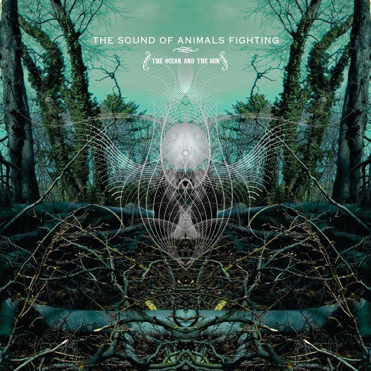 The Sound Of Animals Fighting