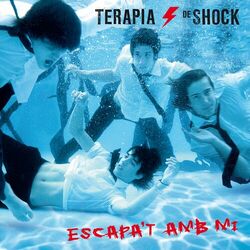 Picture of Teràpia de Shock
