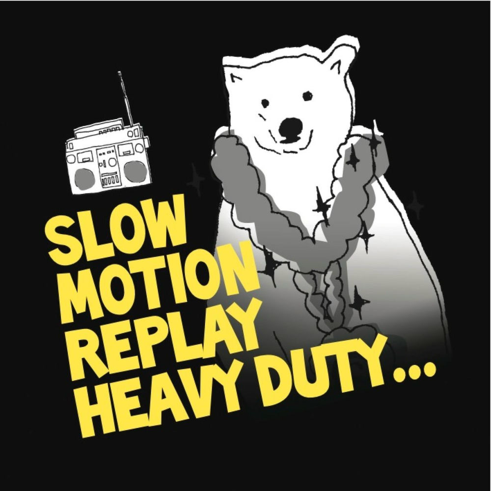 Photo de l'artiste Slow Motion Replay