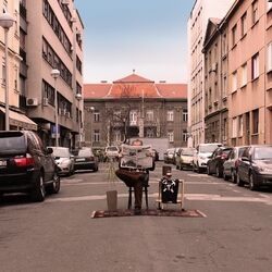 Picture of Mašinko