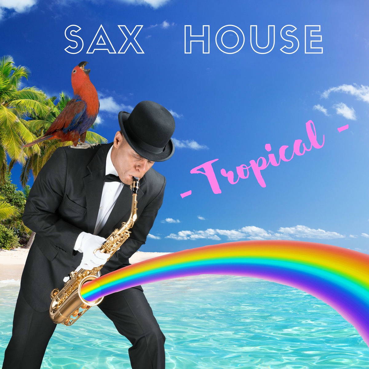 Artist picture of Sax House