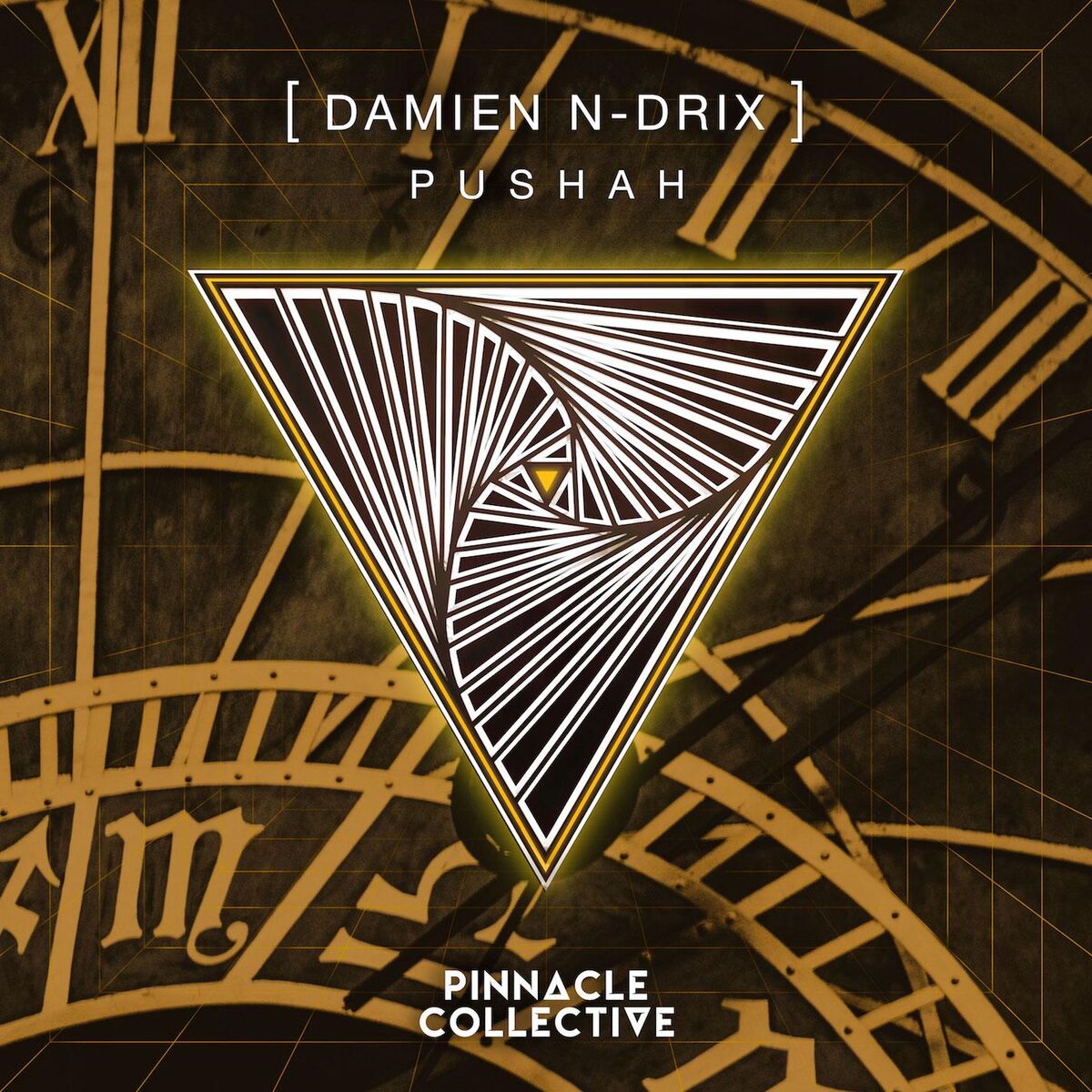 Damien N-Drix