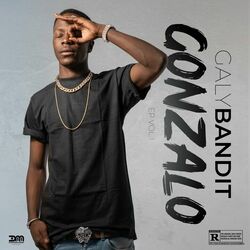 Picture of Galy Bandit