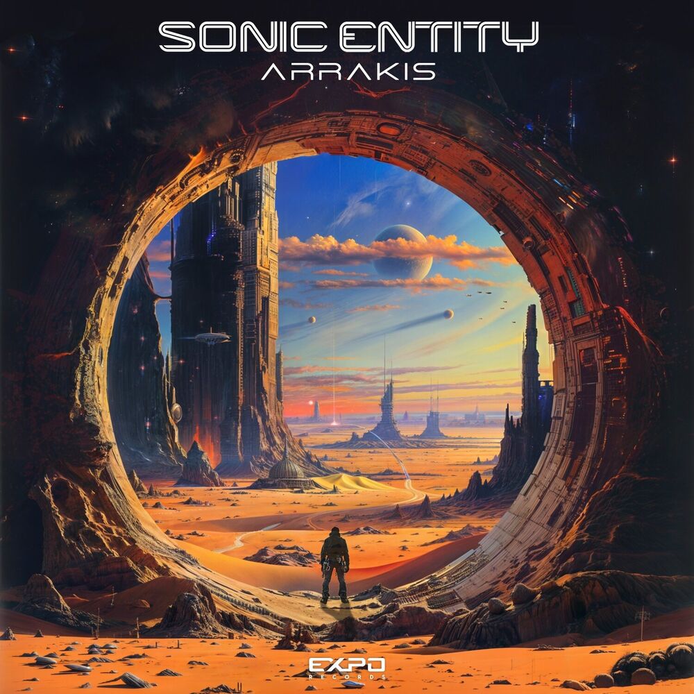 Picture of Sonic Entity