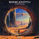 Sonic Entity