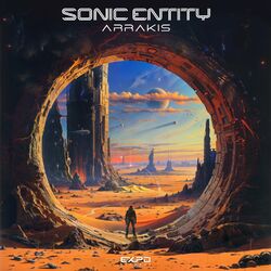 Picture of Sonic Entity