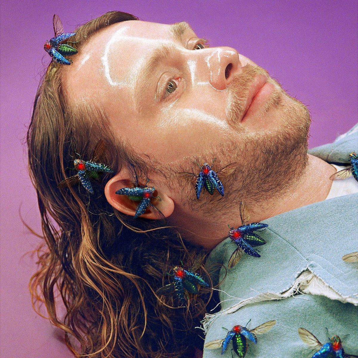 Artist picture of Joris Delacroix