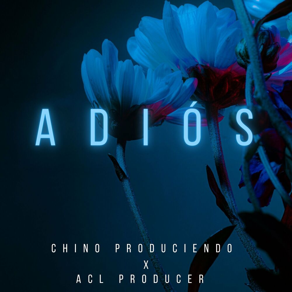 Picture of Chino Produciendo