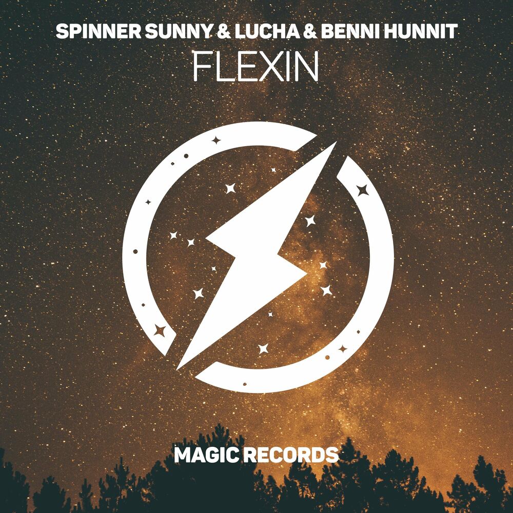 Picture of Spinner Sunny