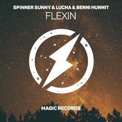 Picture of Spinner Sunny