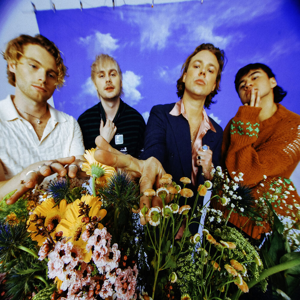 Picture of 5 Seconds Of Summer