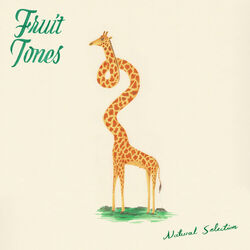 Picture of Fruit Tones