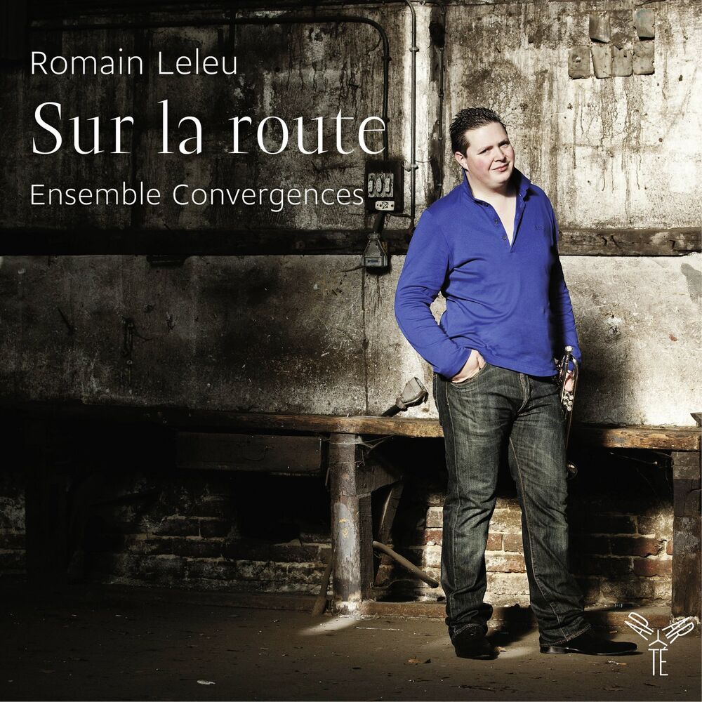 Picture of Ensemble Convergences