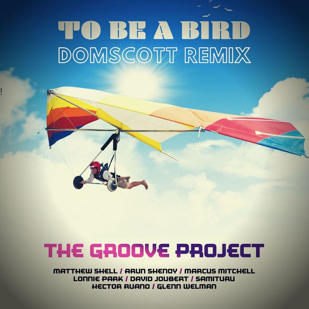 Picture of The Groove Project
