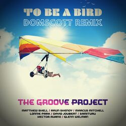 Picture of The Groove Project