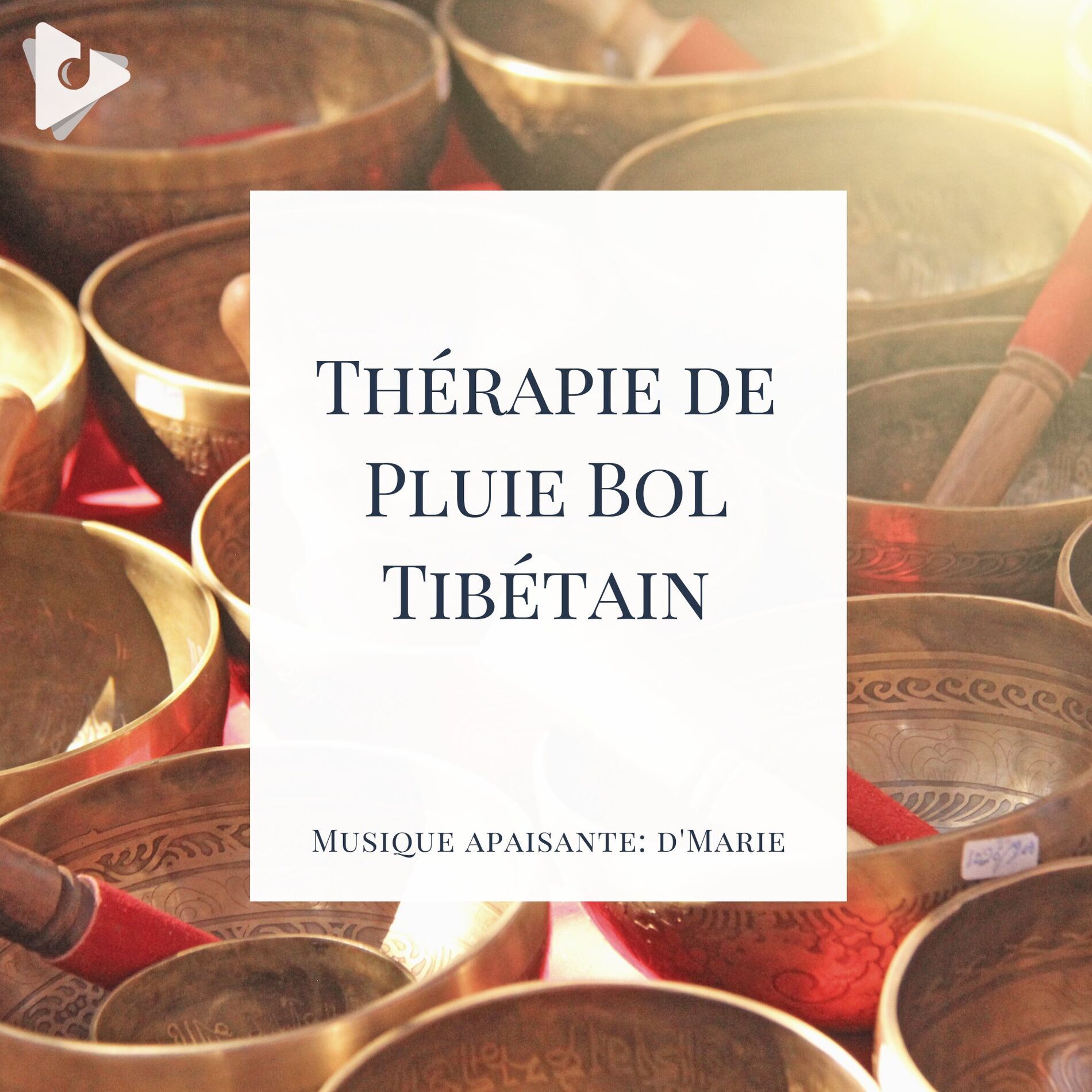 Professeurs de Méditation Bouddhiste