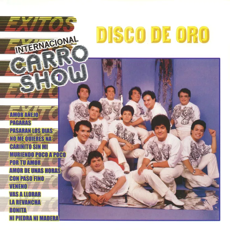 Internacional Carro Show