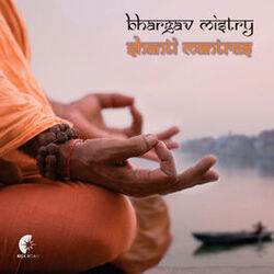 Picture of Bhargav Mistry