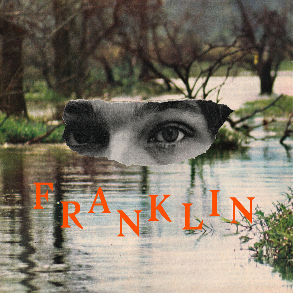 Picture of Franklin