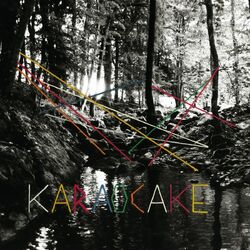 Picture of Karaocake